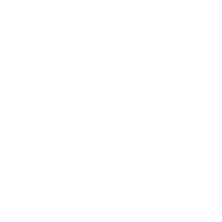 bulb bulb